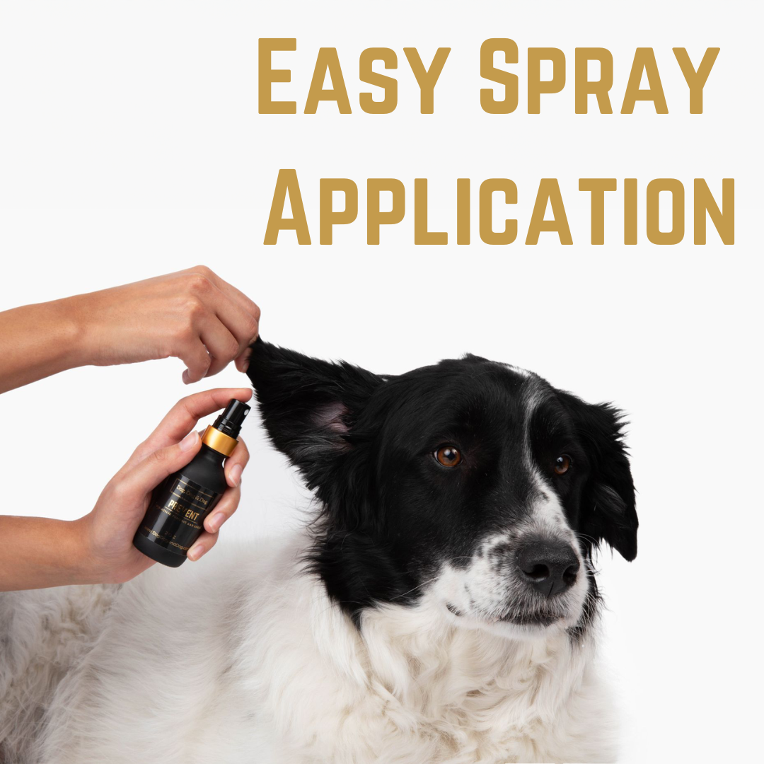 Clean Ear Spray
